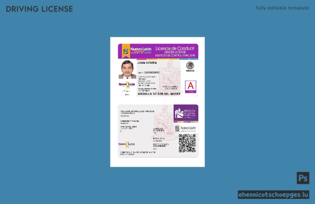 Beispiel für einen Führerschein aus Mexiko, Nuevo León